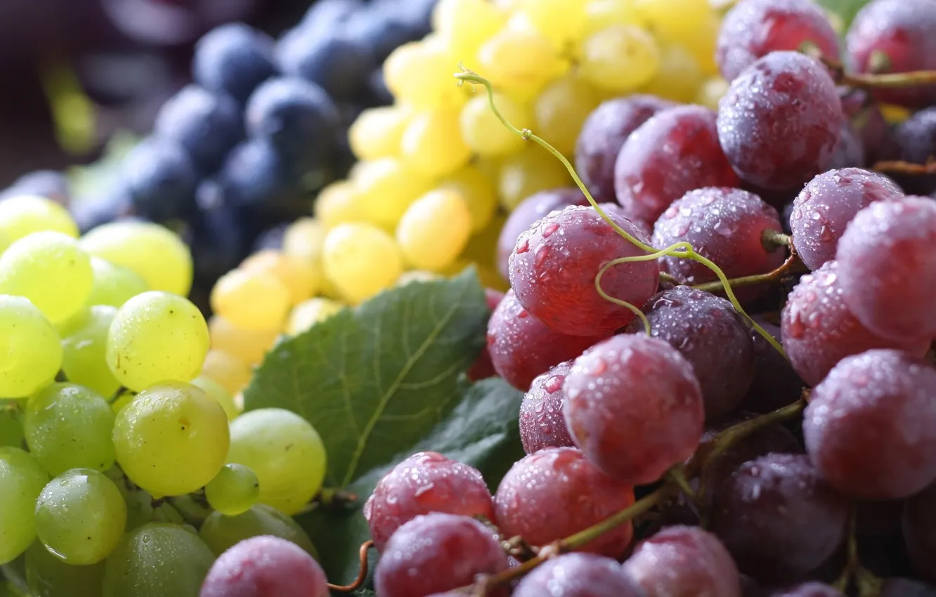 Photo wallpaper macro, berries, grapes