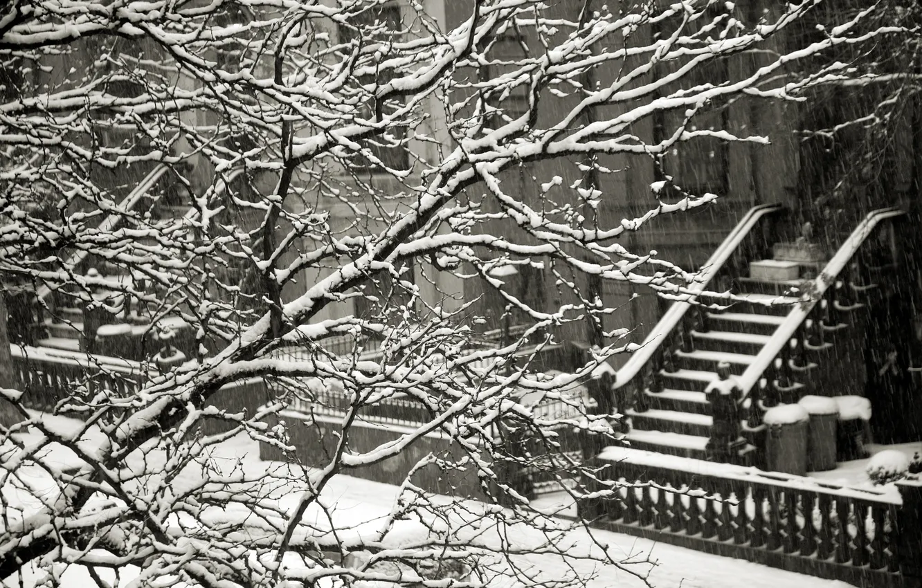 Photo wallpaper winter, snow, branches, the fence, home, ladder