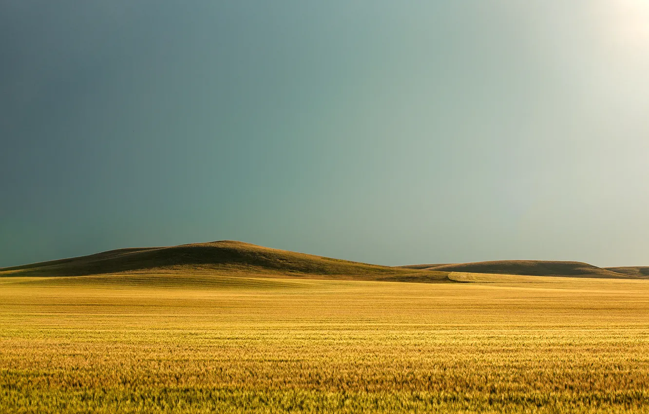 Photo wallpaper field, grass, the sun, hills, grass, sunshine, field, hills