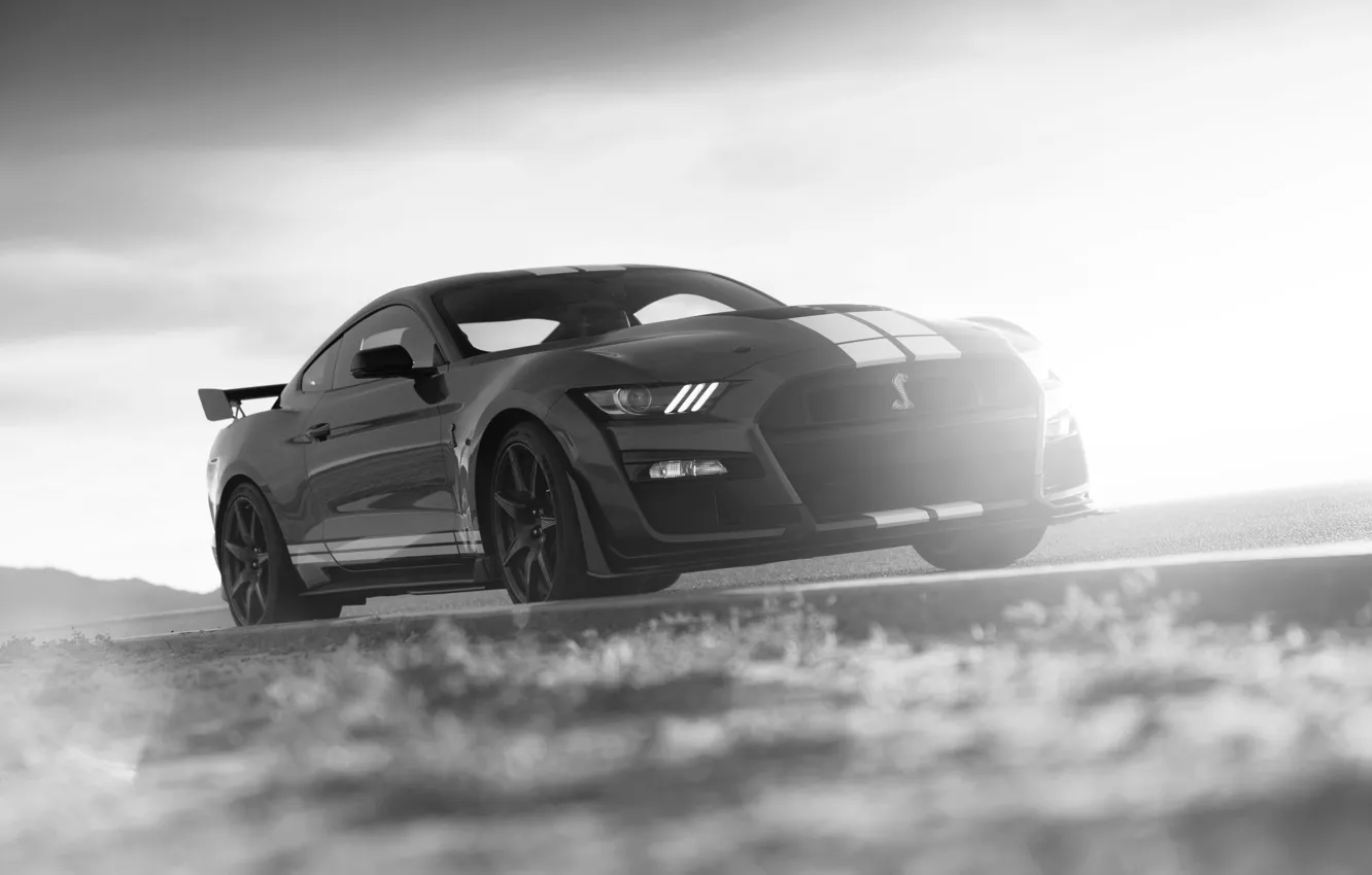 Photo wallpaper Mustang, Ford, Shelby, GT500, roadside, 2019