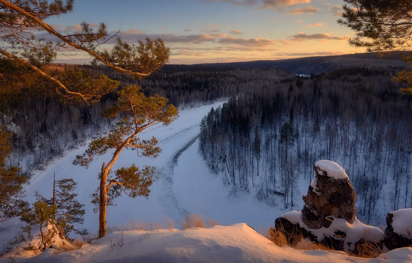 Photo wallpaper winter, forest, snow, trees, river, pine, Russia, Ural