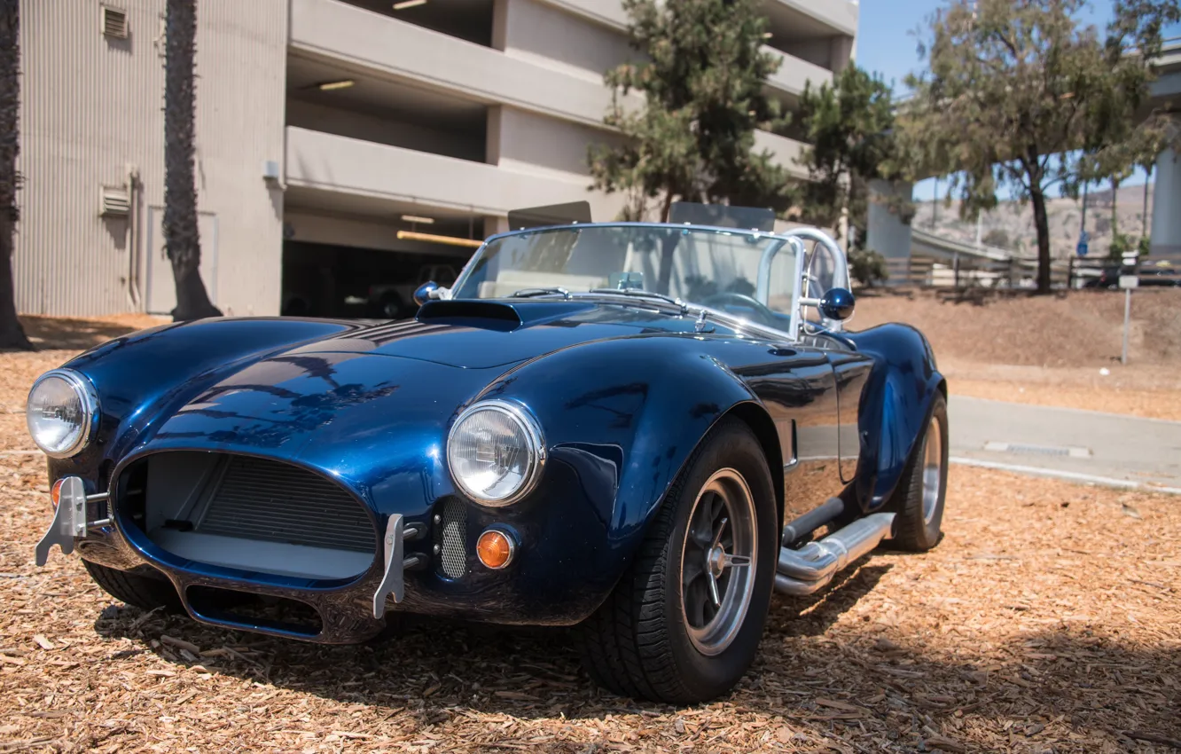 Photo wallpaper Shelby, Car, Auto, Blue, Front, Cobra, Face, Sportcar