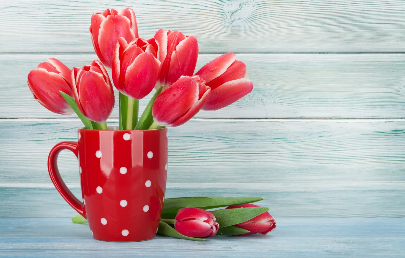 Photo wallpaper flowers, red, bouquet, tulips, red, wood, flowers, cup