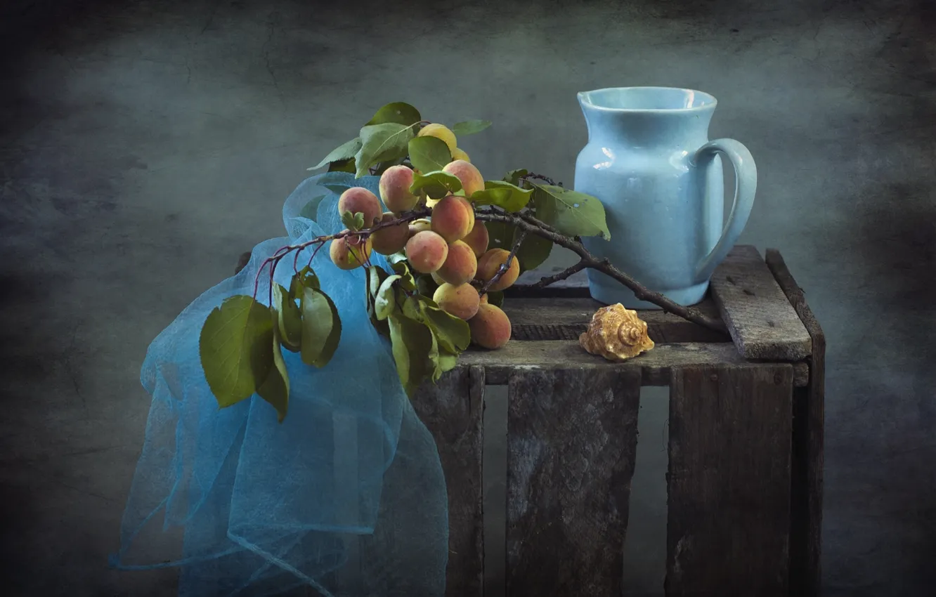 Photo wallpaper shell, pitcher, still life, apricots