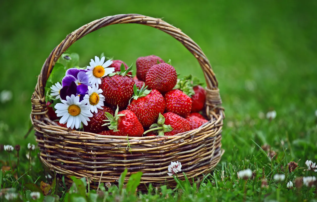 Photo wallpaper grass, flowers, strawberry, basket