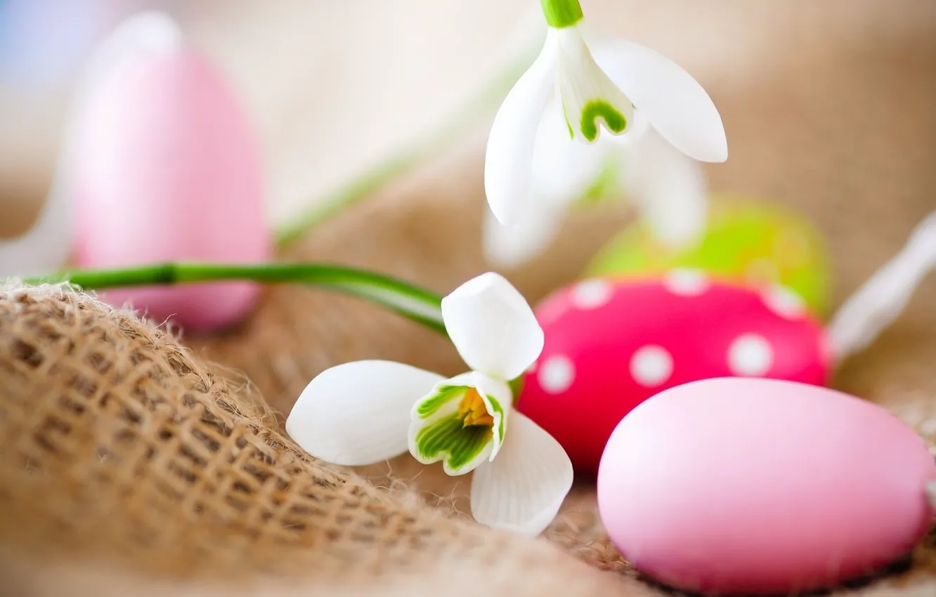 Photo wallpaper flowers, snowdrops, Easter, Easter eggs, eggs