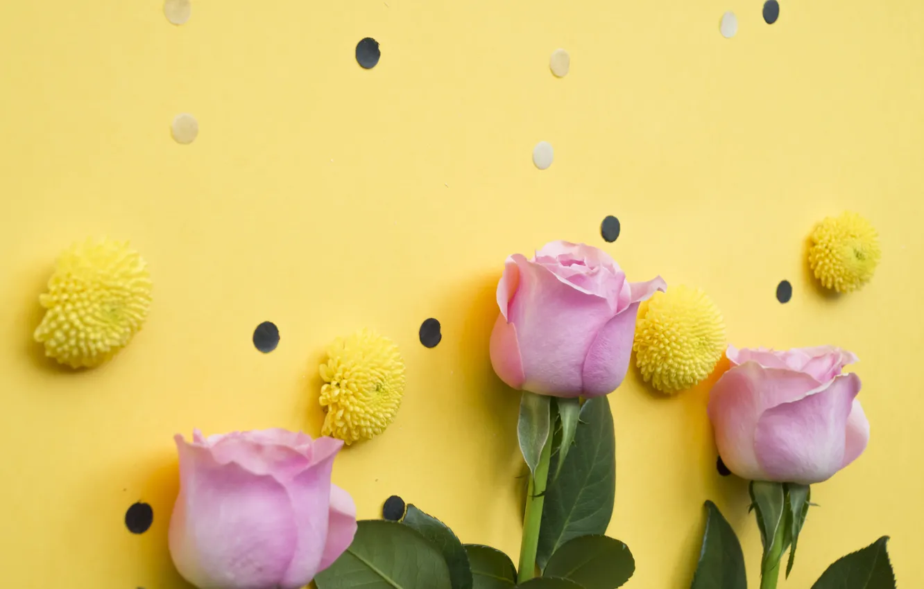 Photo wallpaper roses, pink, buds, pink, flowers, roses