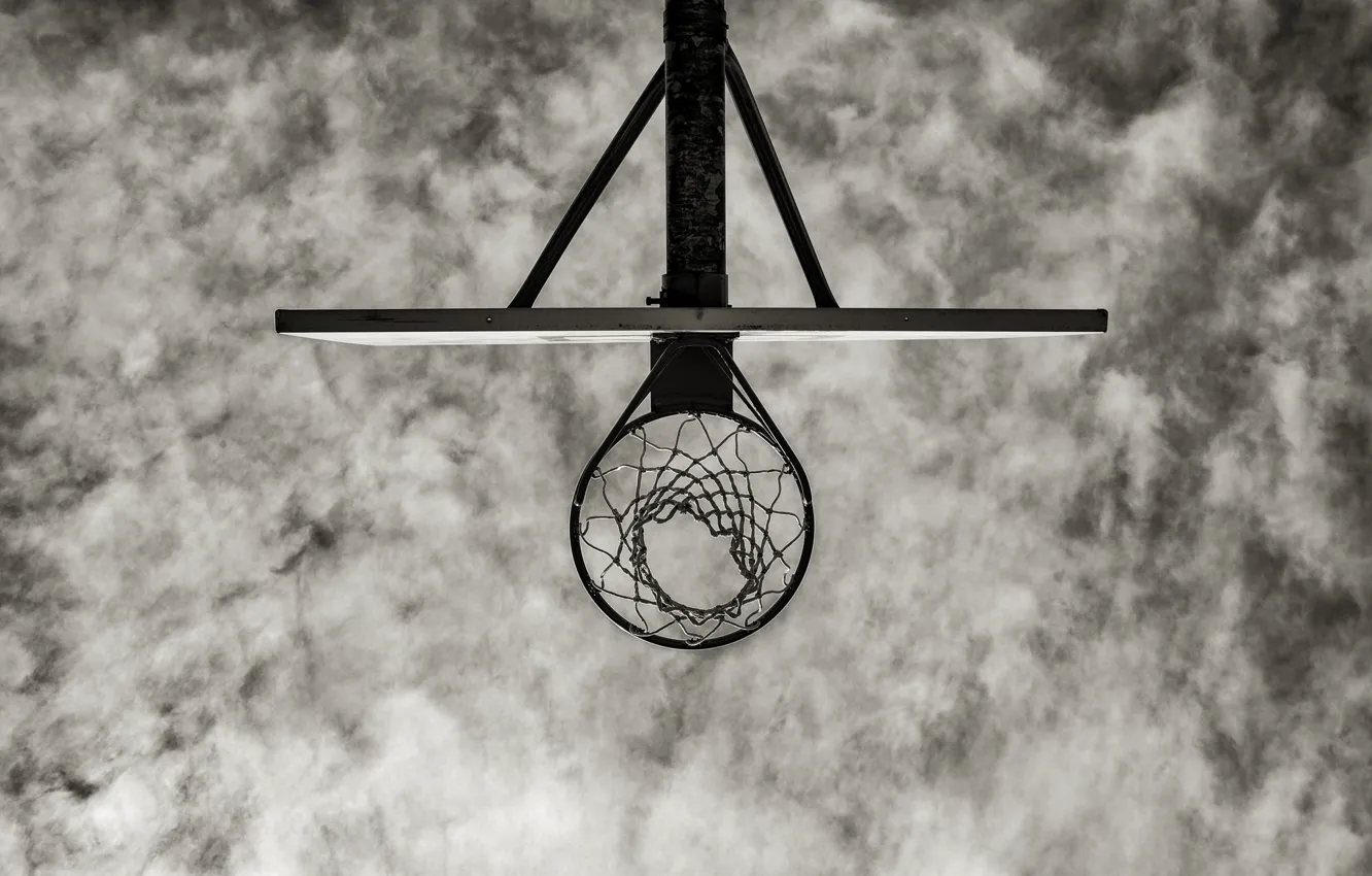 Photo wallpaper ring, shield, basketball