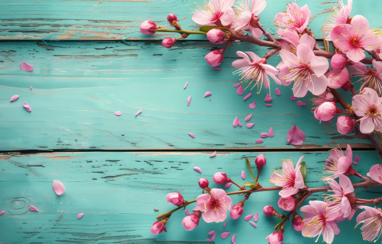 Photo wallpaper flowers, branches, cherry, spring, Sakura, sunshine, flowering, wood