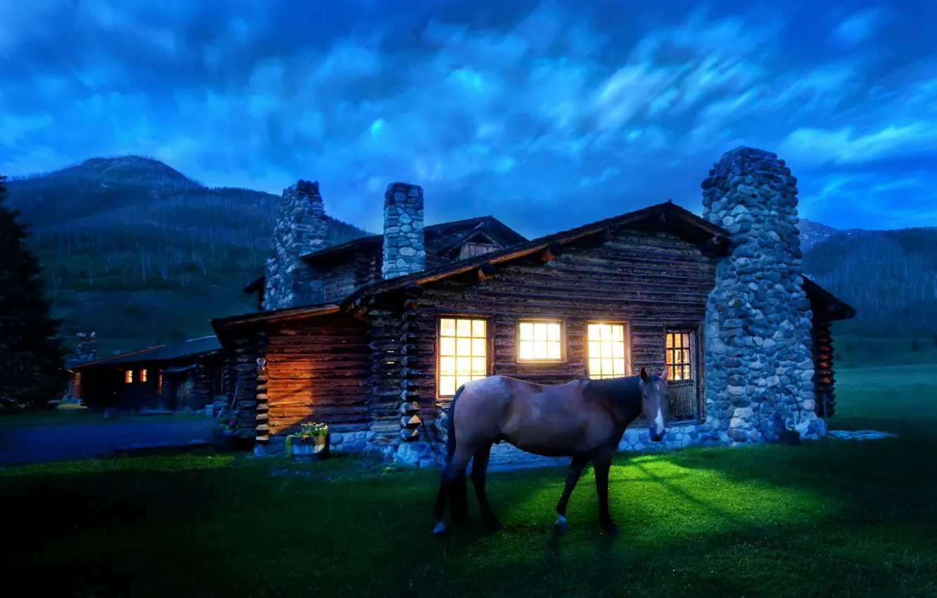 Photo wallpaper light, horse, House