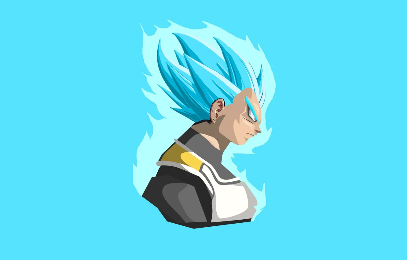 Photo wallpaper minimalism, guy, blue background, Dragon Ball, Dragonball