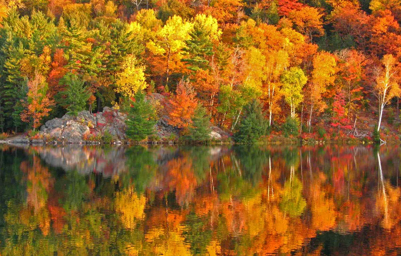Photo wallpaper autumn, trees, reflection, rocks, paint, slope, Canada, Ontario
