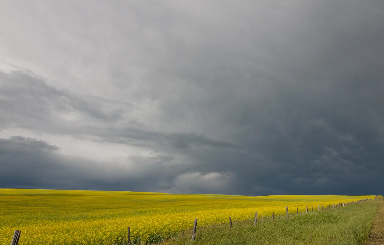 Photo wallpaper the storm, field, the fence, farm, gray clouds