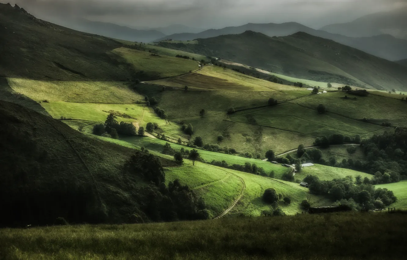 Photo wallpaper trees, hills, field, space