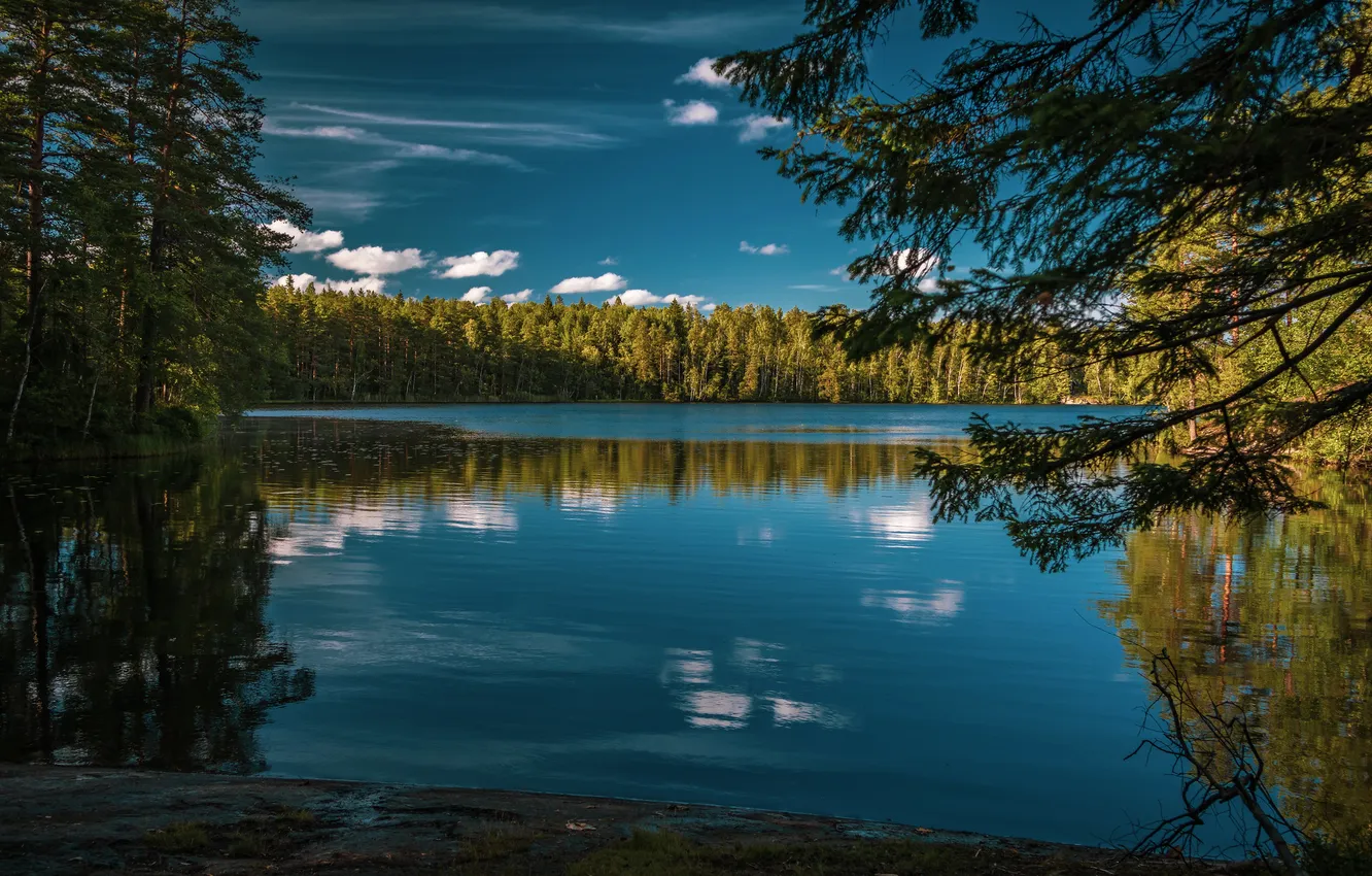 Photo wallpaper forest, landscape, nature, lake