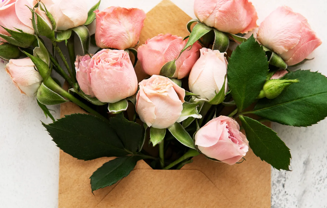 Photo wallpaper roses, bouquet, pink, buds