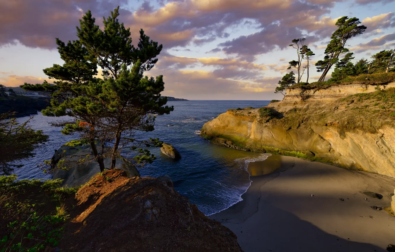 Photo wallpaper trees, landscape, nature, the ocean, rocks, shore, morning, Oregon