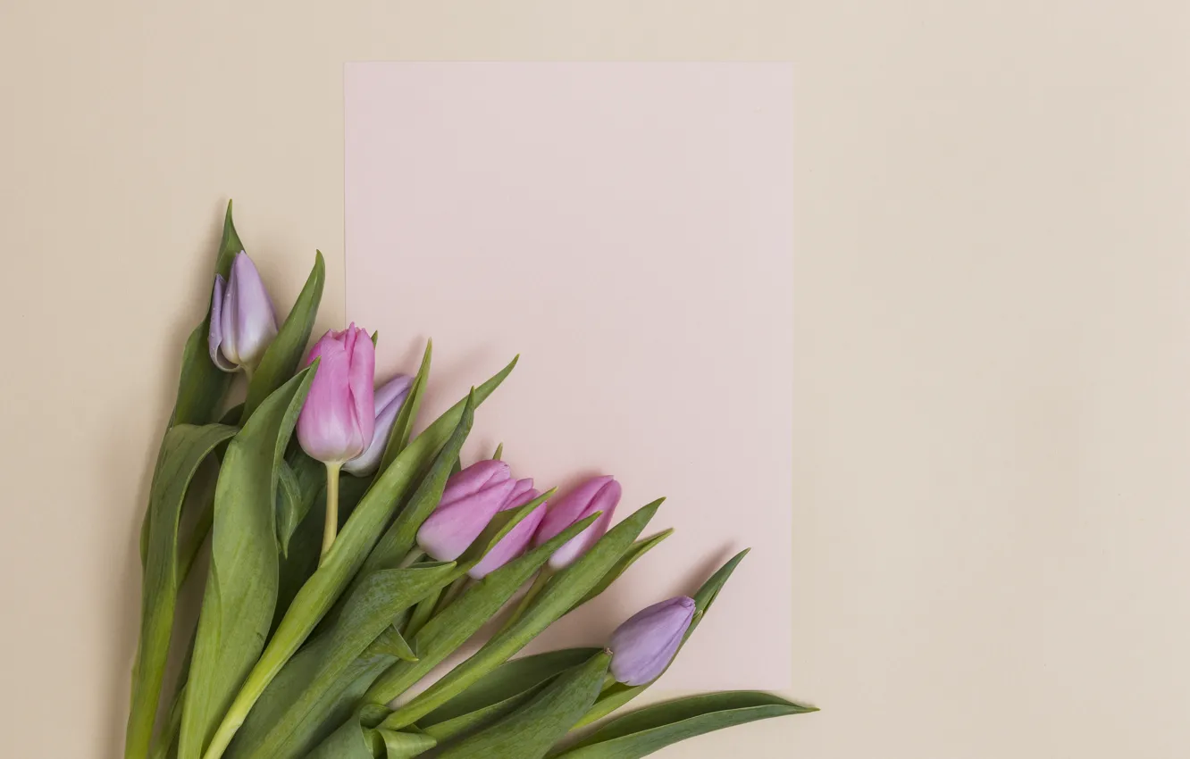 Photo wallpaper flowers, bouquet, tulips, postcard