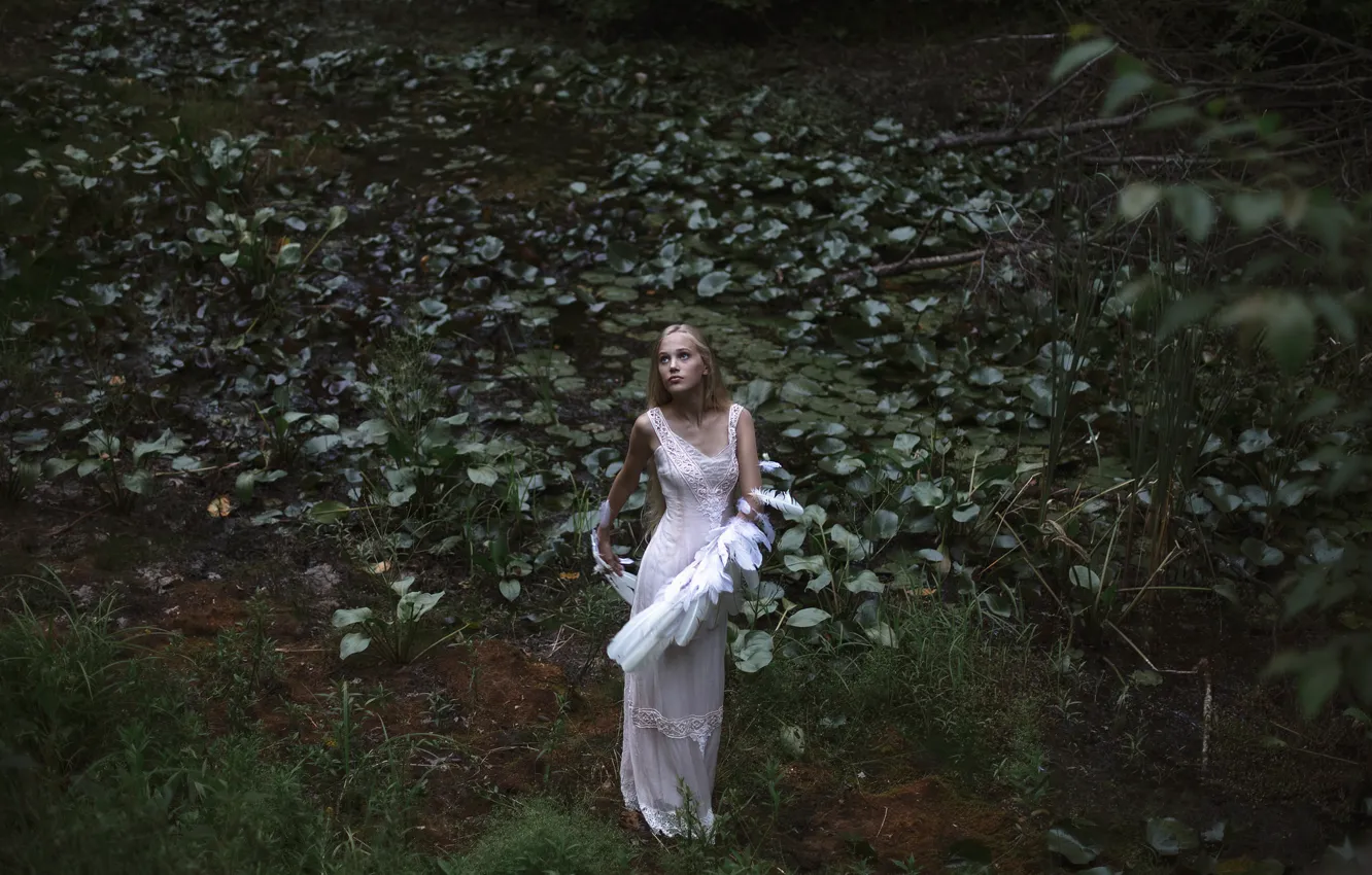 Photo wallpaper girl, wings, Swan Lake, Aleah Michele