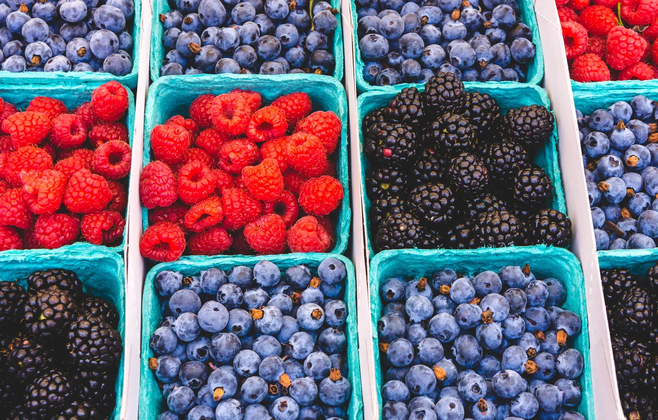 Photo wallpaper red, california, black, blue, pattern, blueberry, blackberry, berries