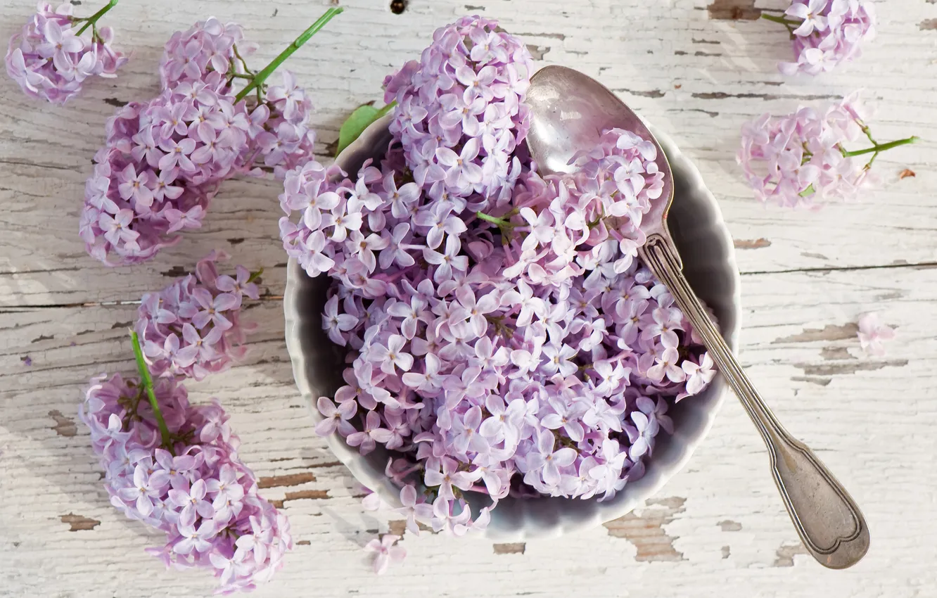Photo wallpaper flowers, spoon, lilac