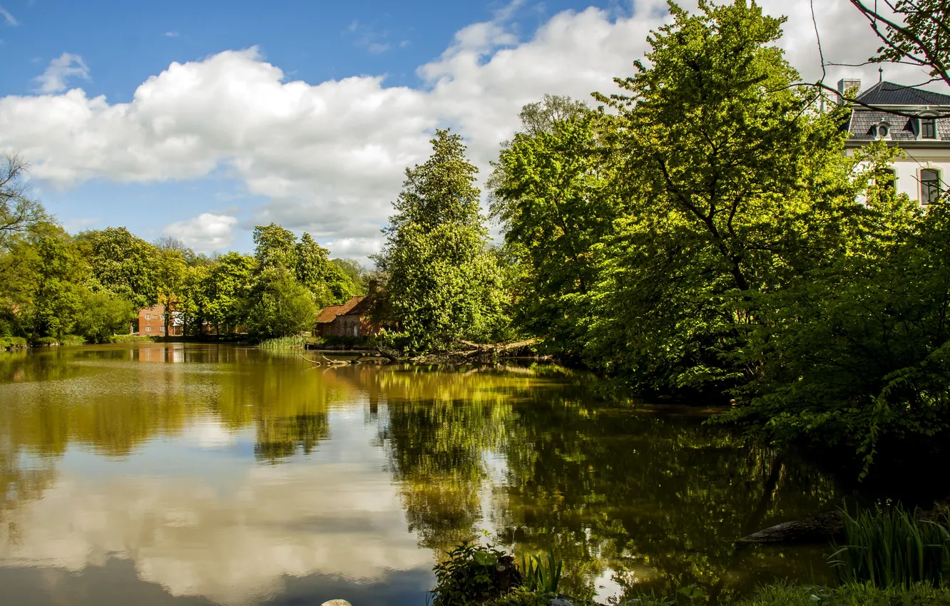 Photo wallpaper summer, the sky, trees, nature, river, photo, Germany, Wangels