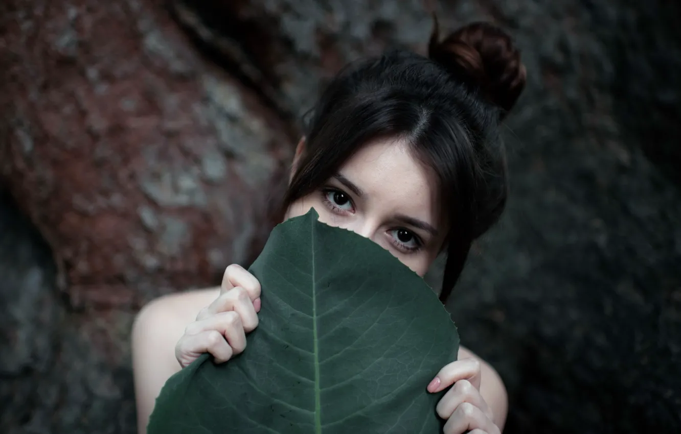 Photo wallpaper leaves, girl, portrait