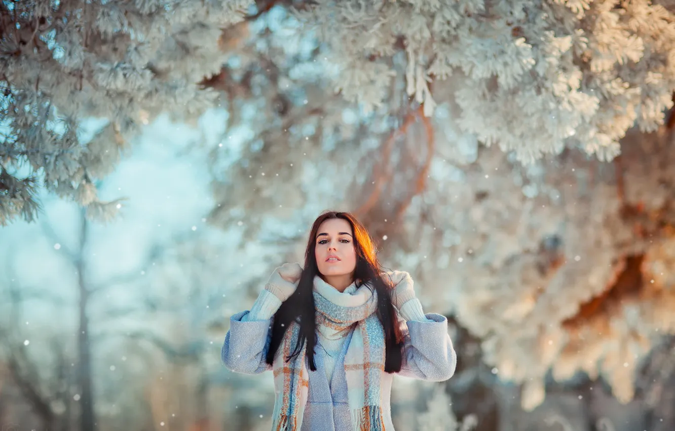 Photo wallpaper winter, frost, forest, look, girl, light, snow, trees