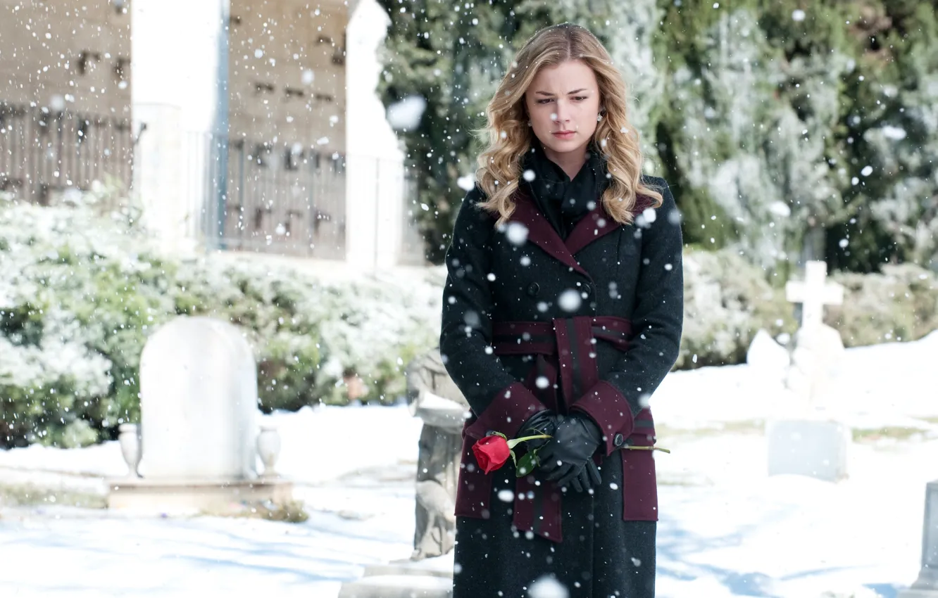 Photo wallpaper snow, flowers, pose, roses, the series, coat, revenge, revenge