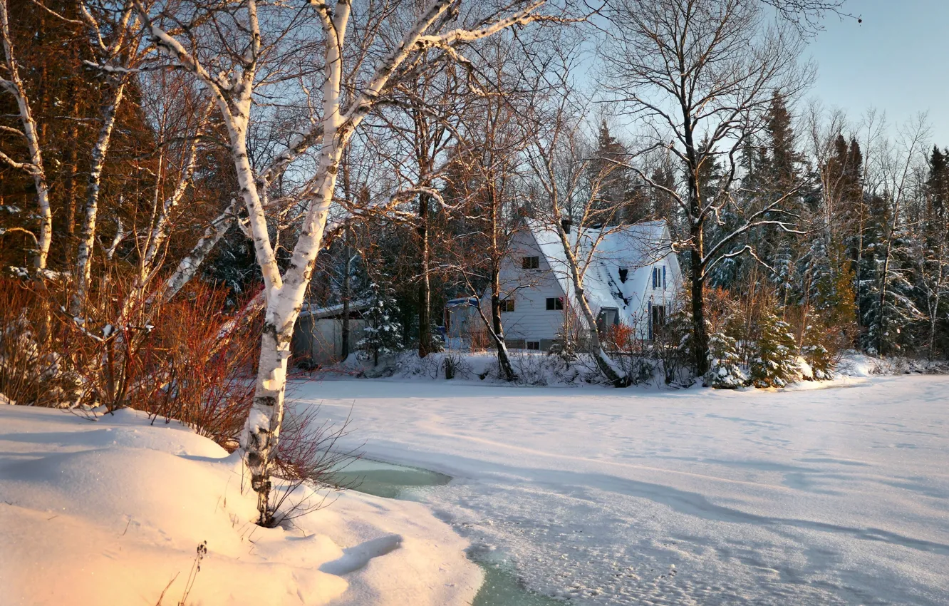 Photo wallpaper winter, forest, snow, trees, landscape, nature, lake, house