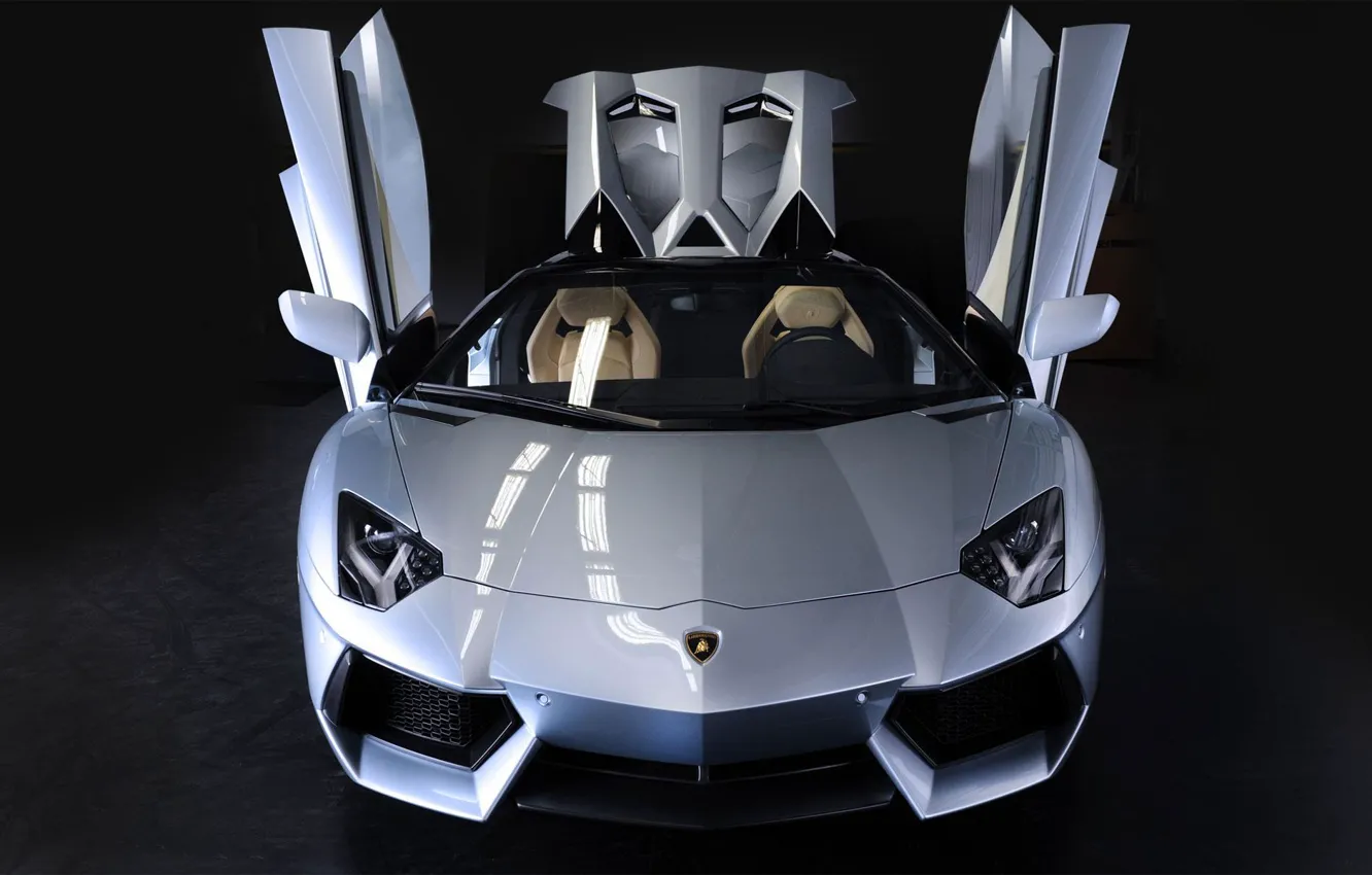 Photo wallpaper Roadster, LP700-4, Aventador, 2014, Lamb Borghini