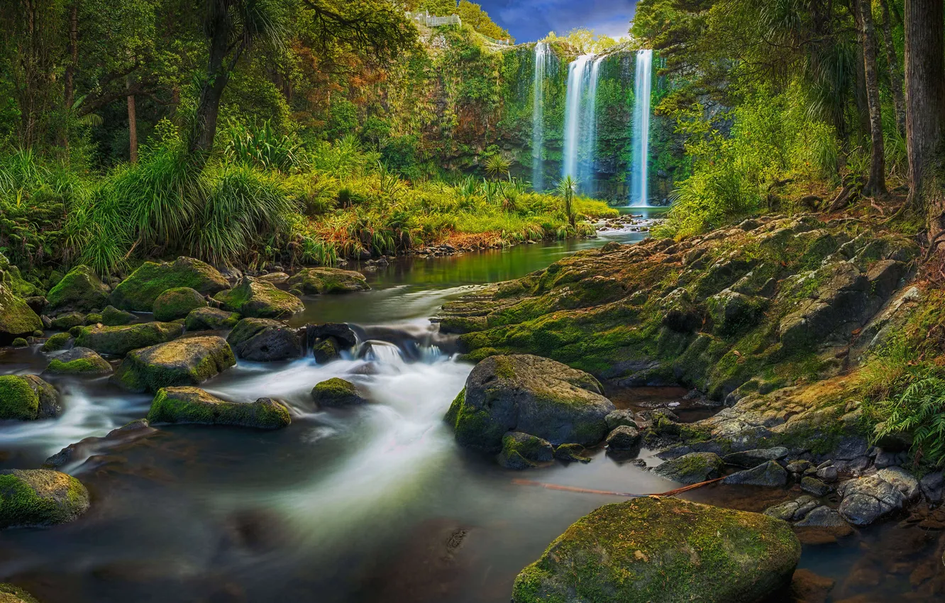 Photo wallpaper greens, forest, grass, roots, stones, waterfall, moss, jungle