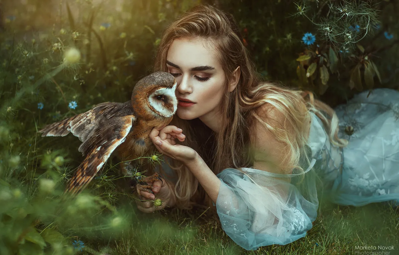 Photo wallpaper girl, flowers, pose, owl, bird, dress, long hair, the barn owl