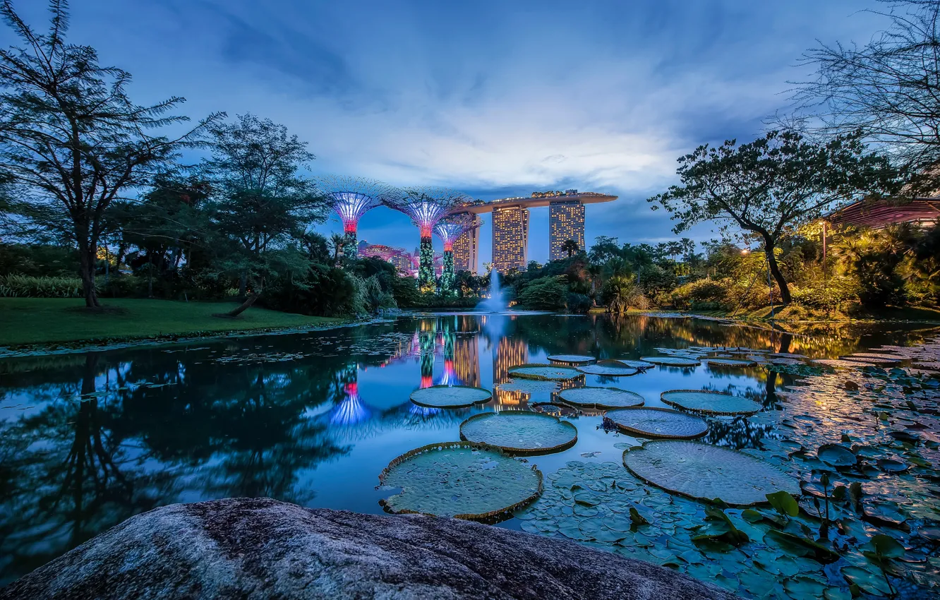 Photo wallpaper trees, design, lights, pond, Park, building, home, the evening