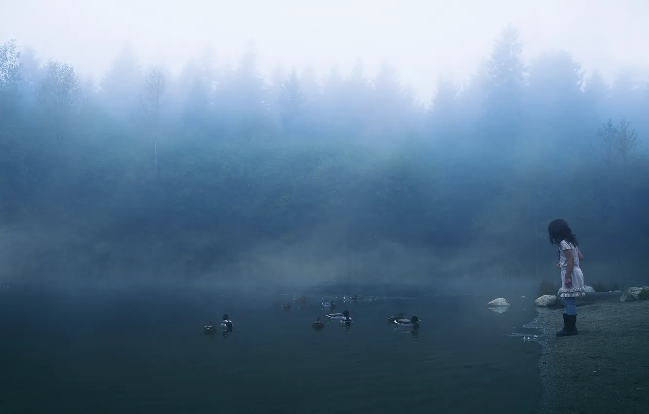 Photo wallpaper river, duck, girl, misty morning