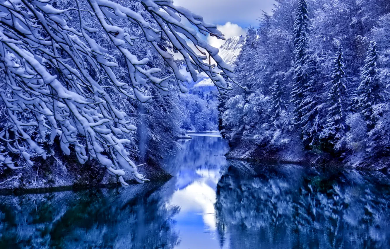 Photo wallpaper water, snow, reflection, trees, Winter