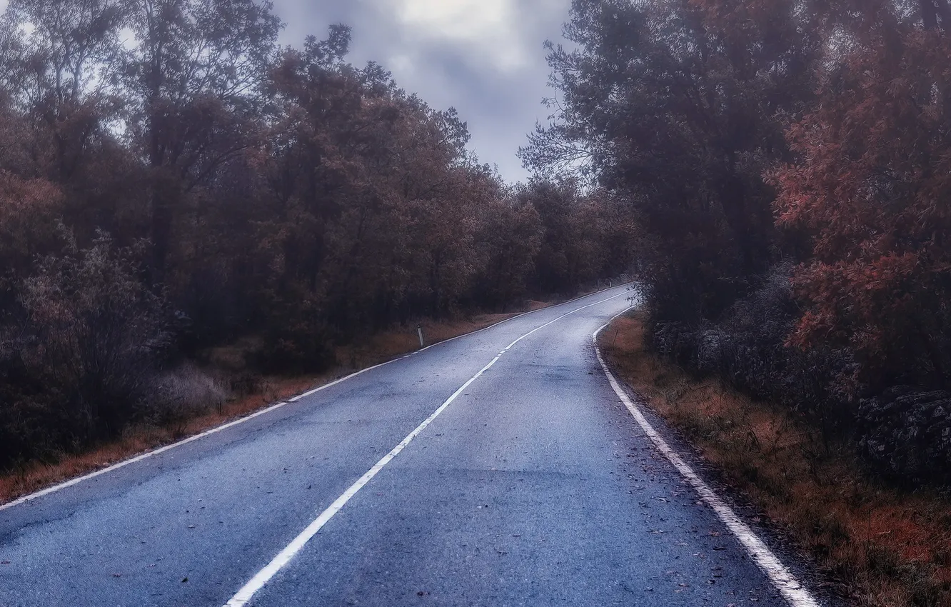 Photo wallpaper road, autumn, nature