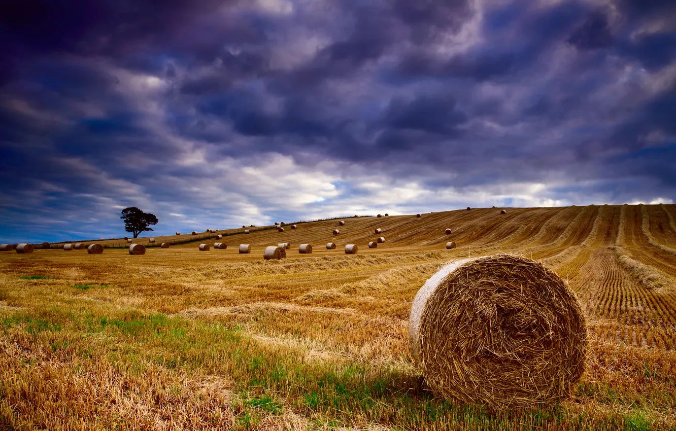 Photo wallpaper field, summer, the sky, clouds, morning, bales, August, Cumbria