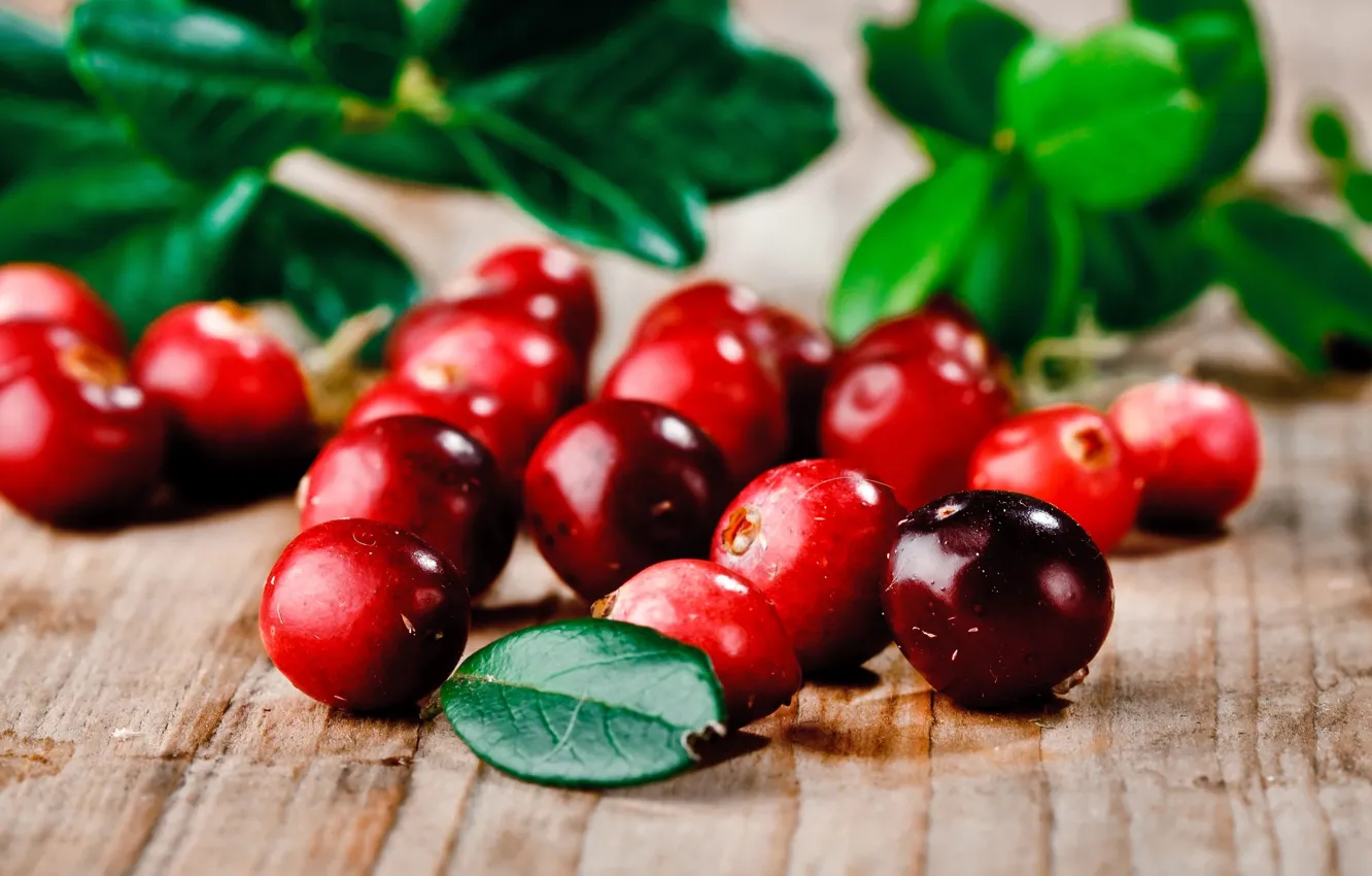 Photo wallpaper berries, background, Wallpaper, food, blueberries, leaf, wallpaper, widescreen