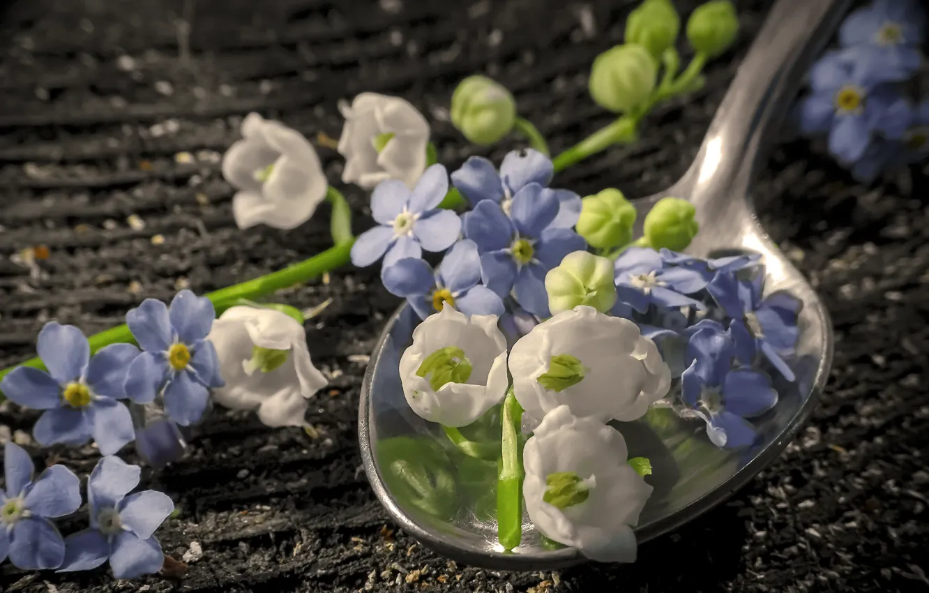 Photo wallpaper flowers, spoon, blue and white