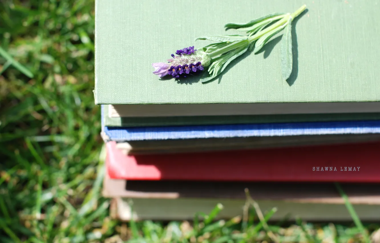 Photo wallpaper greens, grass, flowers, nature, background, Wallpaper, book, stack