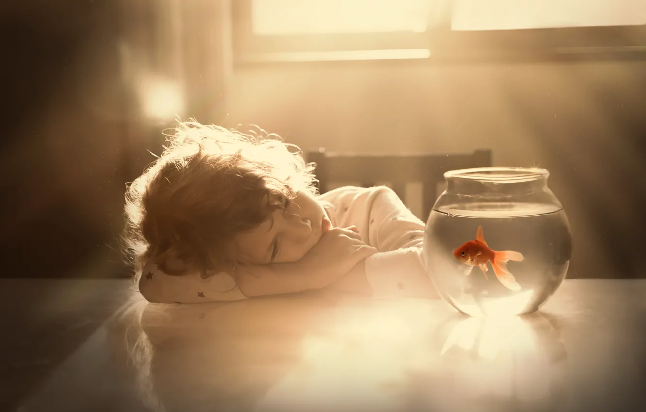 Photo wallpaper aquarium, goldfish, child