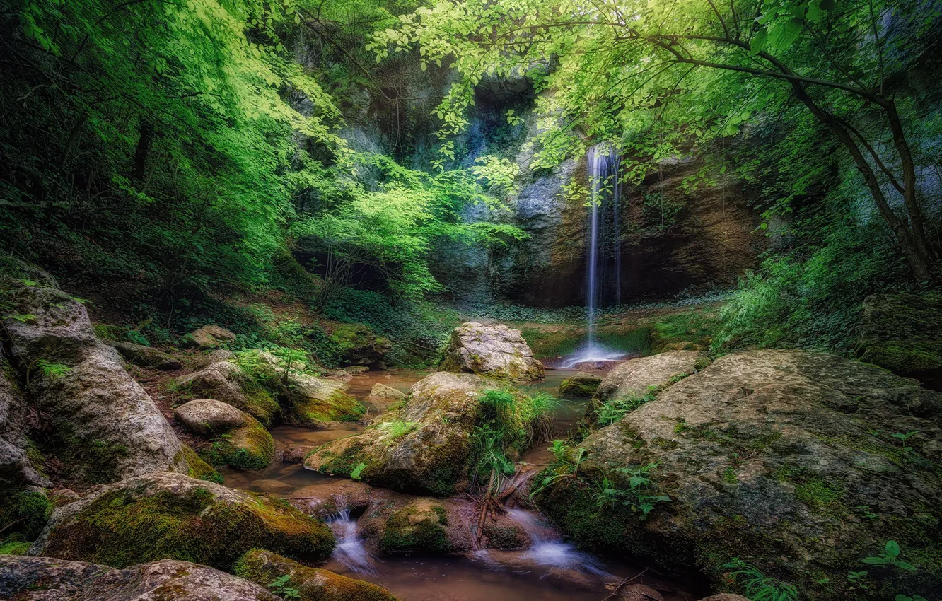 Photo wallpaper forest, landscape, nature, rock, open, waterfall, beauty