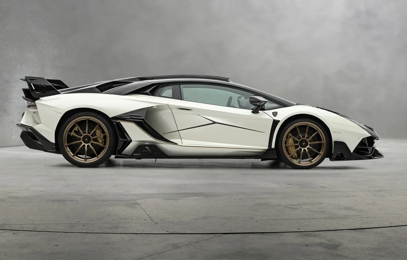 Photo wallpaper power, supercar, sports car, supercar, Lamborghini Aventador, Mansory, sports car, the only instance