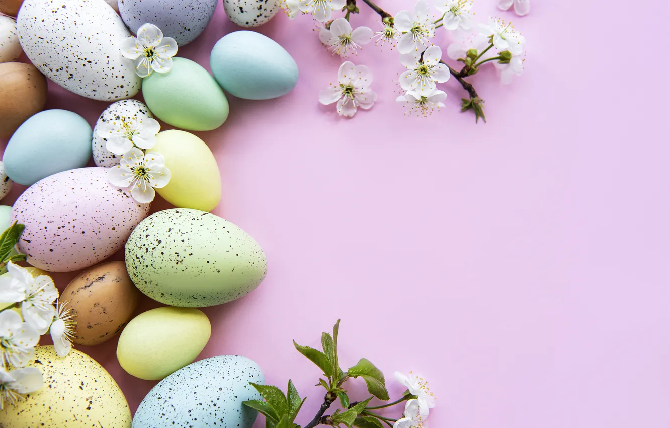 Photo wallpaper flowers, eggs, spring, colorful, Easter, flowers, spring, Easter