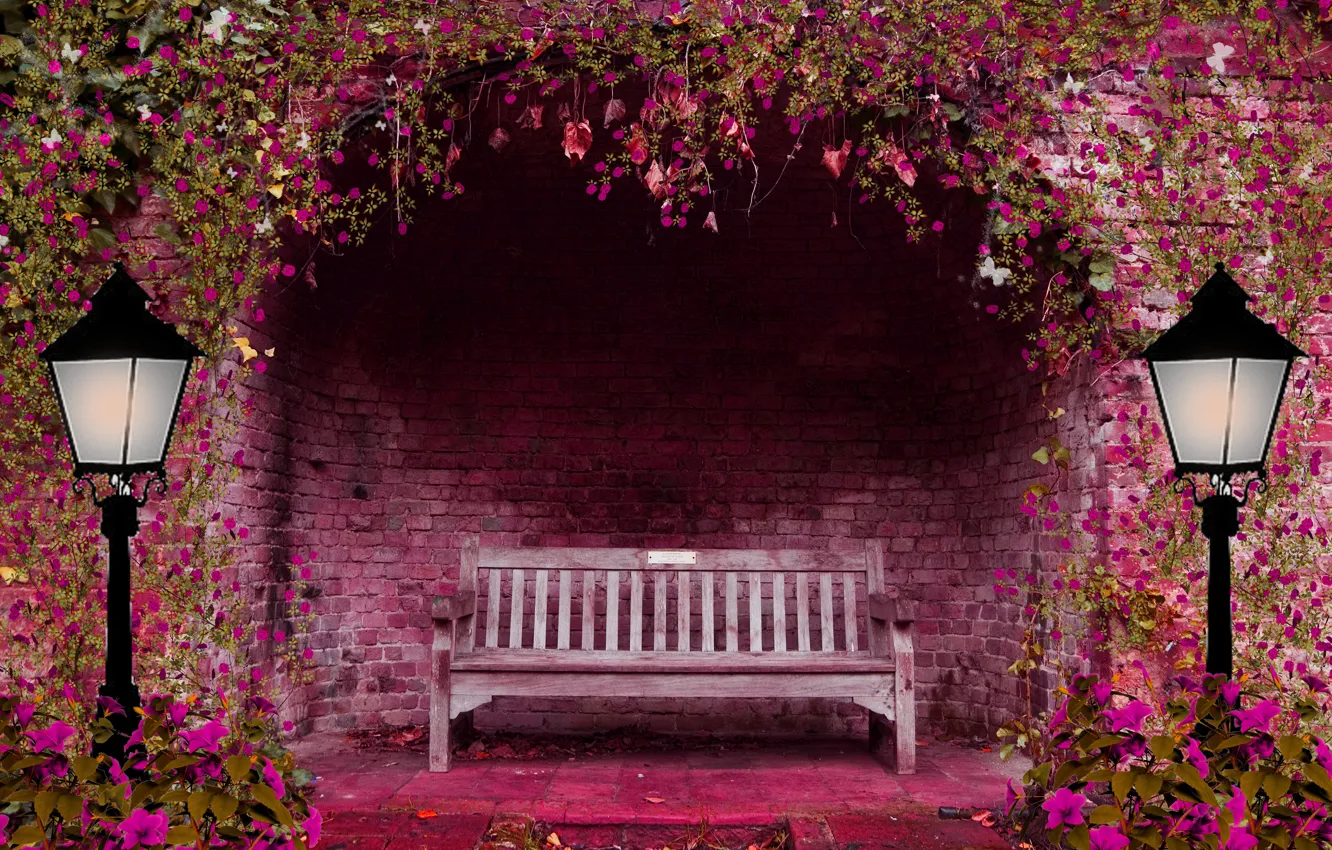 Photo wallpaper flowers, bench, pink, lights, arch, spring garden