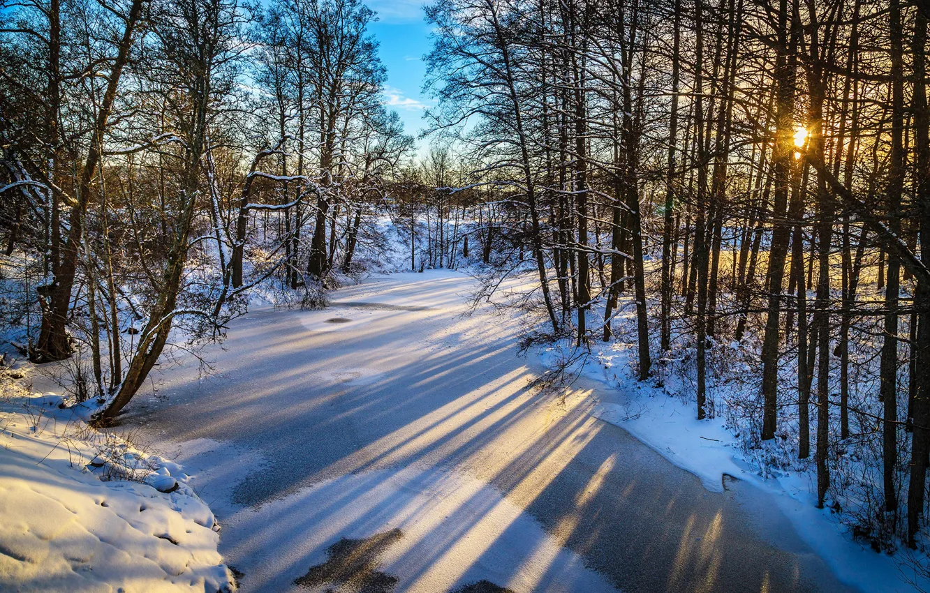 Photo wallpaper ice, winter, the sky, the sun, trees, river, dawn, shadow