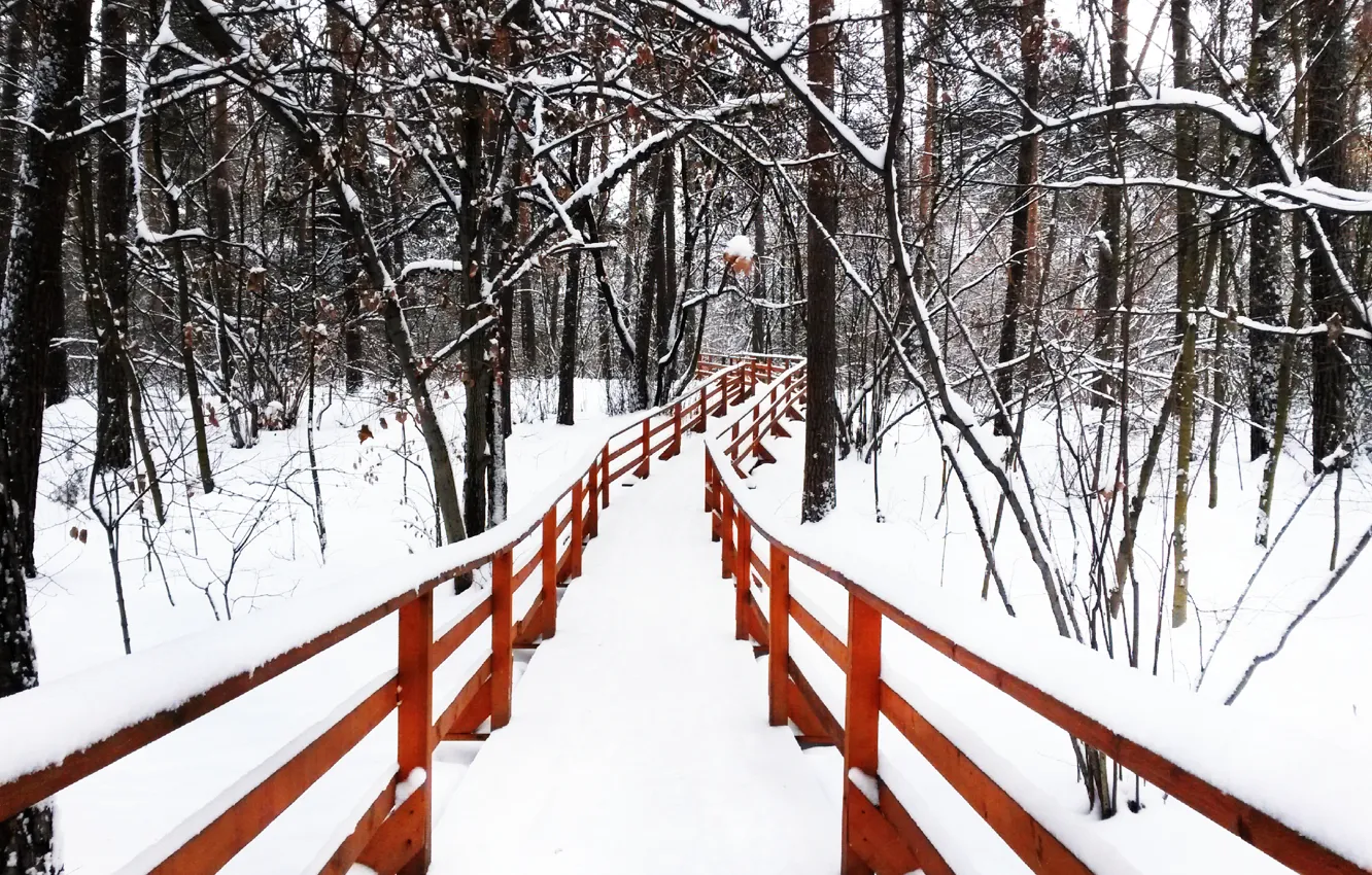 Photo wallpaper winter, snow, trail