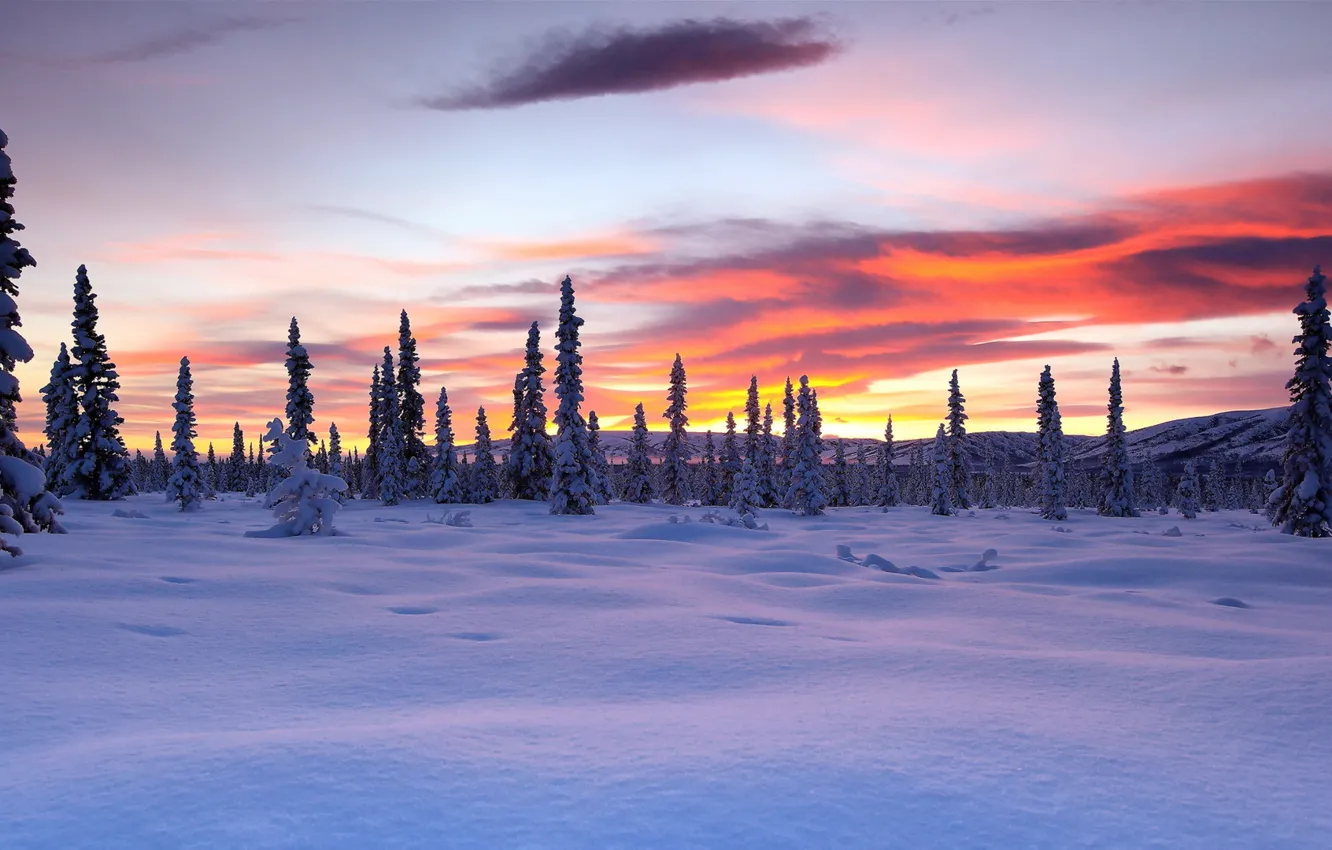 Photo wallpaper winter, landscape, sunset