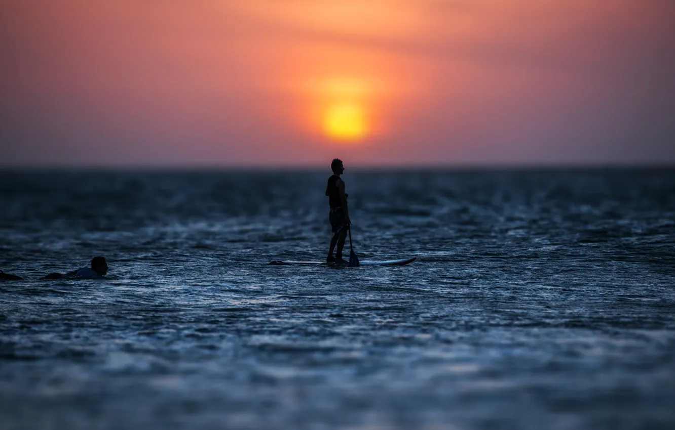 Photo wallpaper sea, sunset, horizon, surfer, extreme sports, the stand-up paddle classes